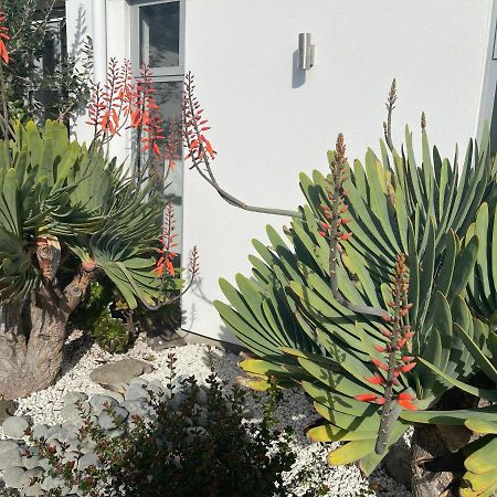 Stunning Park Side Holiday Home Christchurch Eksteriør billede